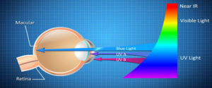 Low Blue Light Technology: What Is It? 