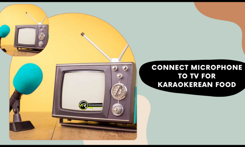 Connect Microphone to TV for Karaokerean Food