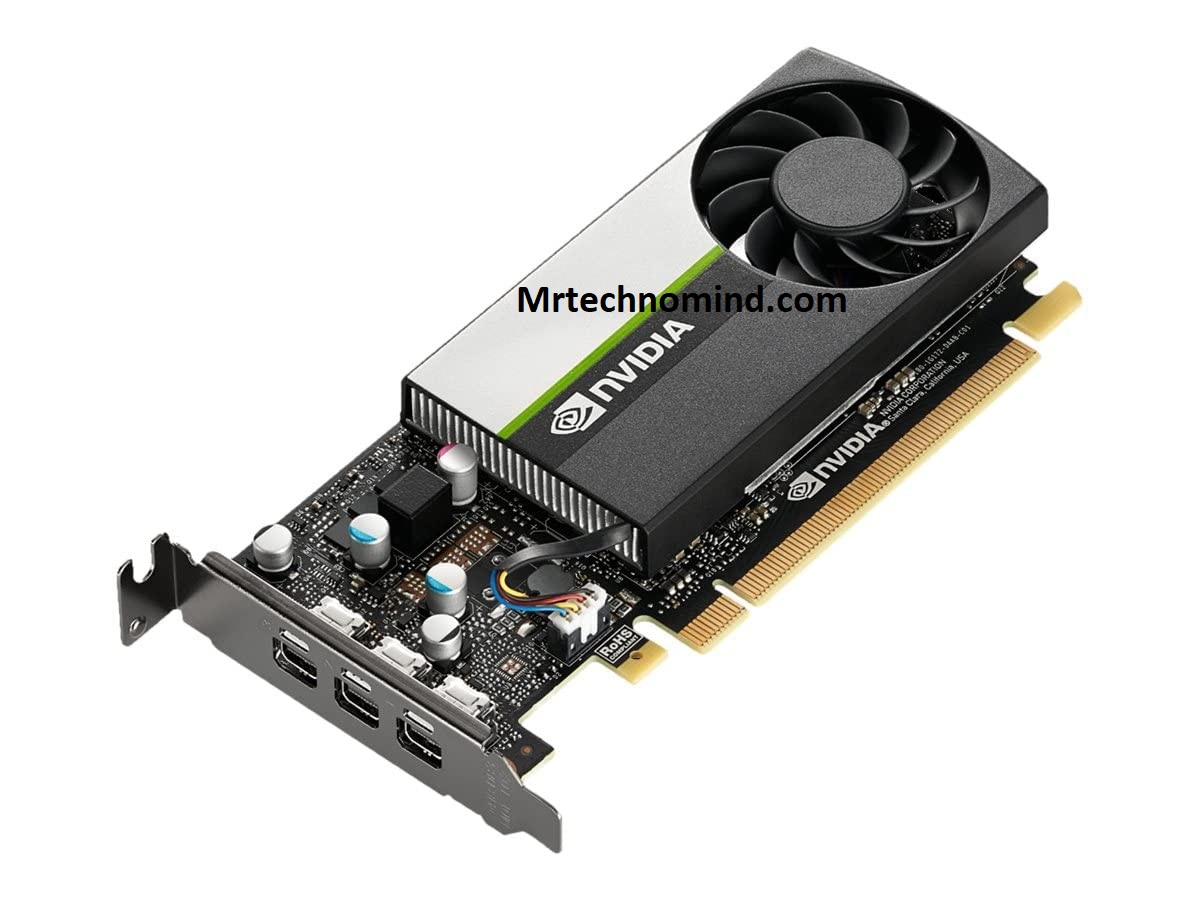 Graphics card (GPU)