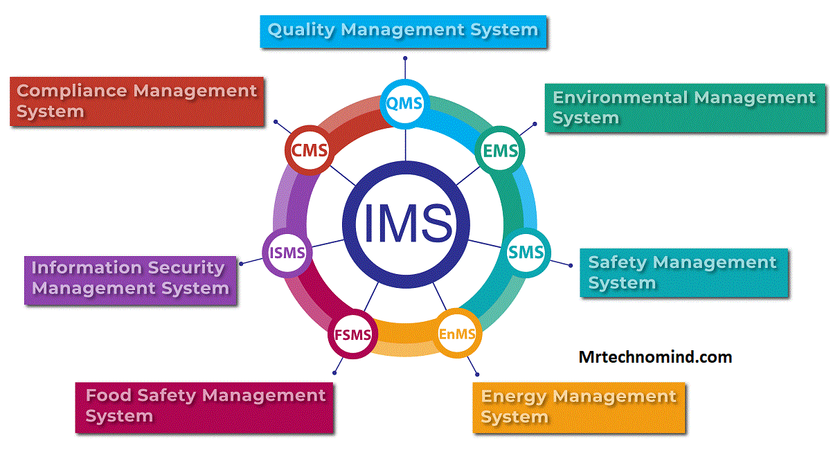 User Reviews and Feedback