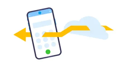 Navigating New Opportunities: Connect with Lithuania Using a Virtual Number